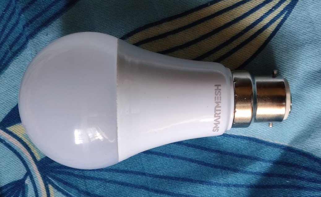 the bulb